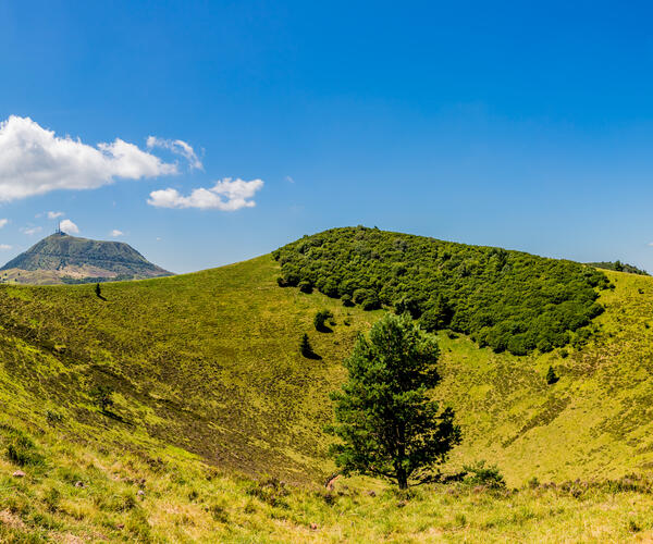 The Puy de Sancy.