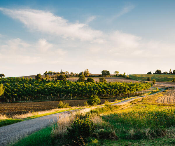 From Cahors to Lectoure.