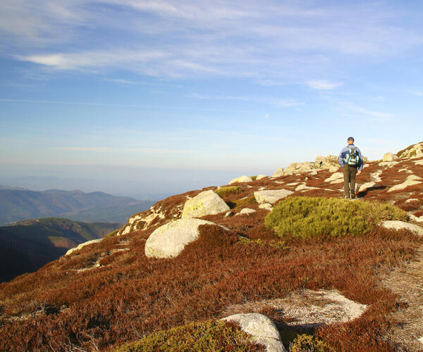 The South trail from Chasserades to Saint Jean du Gard.